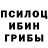 Псилоцибиновые грибы MAGIC MUSHROOMS RETRO GAMER
