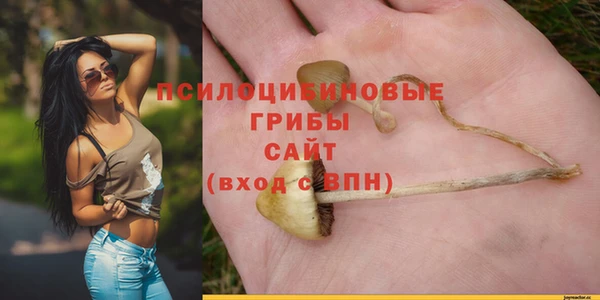spice Дмитров