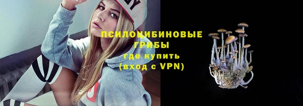 герыч Дмитриев